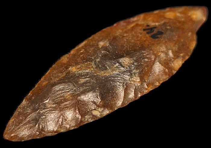 Neolithisch Vuursteen Biface lanceerpunt, silex multicolore, Antiek en Kunst, Antiek | Overige Antiek