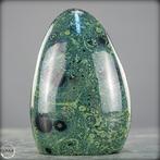 Natuurlijke Kambaba-vrije vorm Het groene fossiel van het, Verzamelen, Mineralen en Fossielen