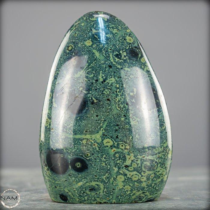Natuurlijke Kambaba-vrije vorm Het groene fossiel van het, Verzamelen, Mineralen en Fossielen