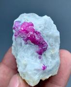 Robijn Kristal/Specimen - Hoogte: 42 mm - Breedte: 53 mm- 95