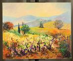 Christiane Stenfort (1940) - Vignoble minervois