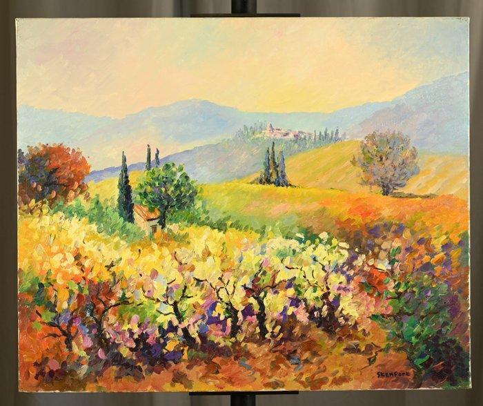 Christiane Stenfort (1940) - Vignoble minervois, Antiek en Kunst, Kunst | Schilderijen | Klassiek