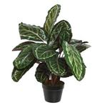 Kunstplant Calathea | Decoris | 69 cm (In pot, Ø 69 cm), Verzenden, Nieuw
