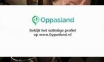 Ik ben Tess, 18 jaar oud en ik zoek oppaswerk in Hoofddorp.