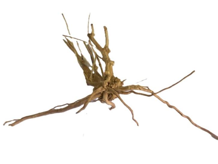 Driftwood Selected DW5 - 55x35x16cm (Small drift wood), Dieren en Toebehoren, Vissen | Aquaria en Toebehoren, Plant(en), Steen of Hout