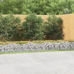 vidaXL Schanskorf gewelfd verhoogd 800x50x50 cm, Tuin en Terras, Verzenden, Nieuw, Metaal, Minder dan 60 cm