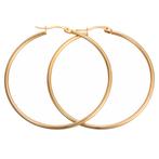 Fako Bijoux® - Oorringen - RVS - Stainless Steel - Staal -, Verzenden, Nieuw