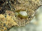 Granaat var. Demantoid Groen Kristal op matrix - Hoogte: 80, Verzamelen