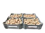 Te koop kisten briketten 20 kilo per 40 stuks gratis bezorgd, Overige houtsoorten