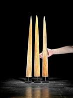Geen minimumprijs - Een drievoudige set zwaardvis-tanden,, Antiek en Kunst