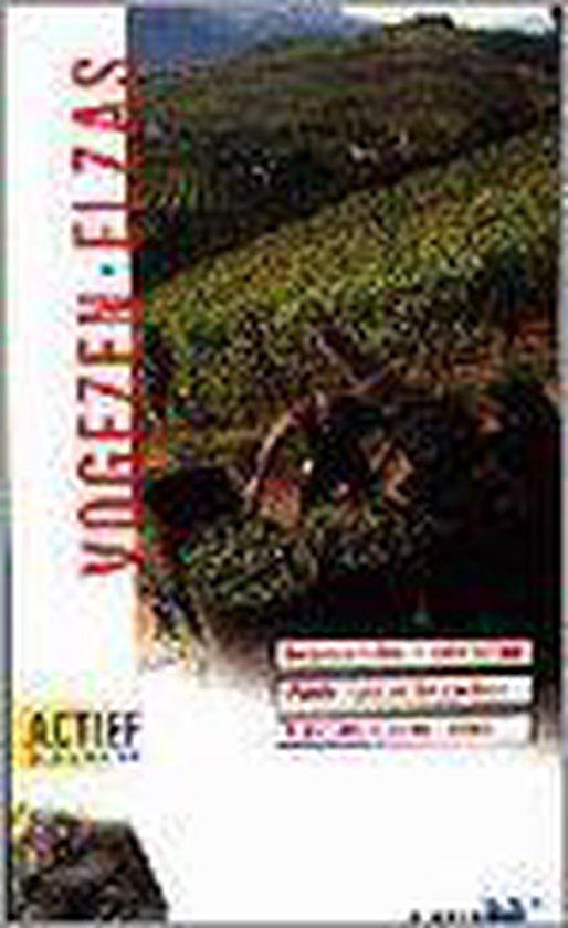 Vogezen en Elzas / ANWB actief & anders 9789018007799, Boeken, Reisgidsen, Gelezen, Verzenden