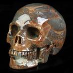 256 g 7,80 × 5,80 cm Dinosaurus-ei agaat-schedel