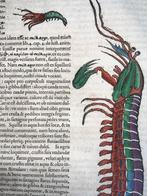 Conrad Gesner [Konrad Gessner] 1516-1565: Fishbuch: Mantis, Antiek en Kunst