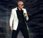 Pitbull Tickets Ziggo Dome Te Koop, Tickets en Kaartjes
