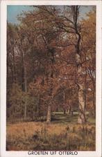OTTERLO - Bosgezicht Groeten uit Otterlo, Verzenden, Gelopen