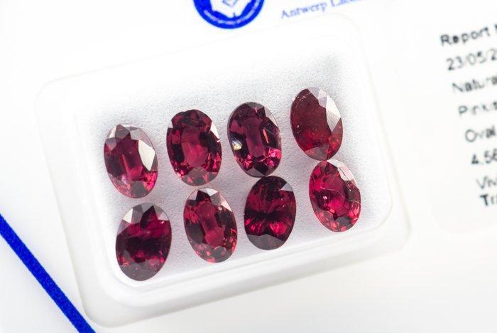 Zonder Minimumprijs - 8 pcs Spinel - 4.56 ct - Antwerp, Sieraden, Tassen en Uiterlijk, Edelstenen