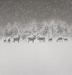 ARAZZO exclusief in jacquard van katoen en alpaca -