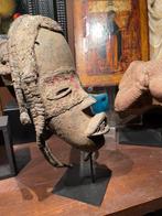 Dan Hout Dan Masker - 21 cm