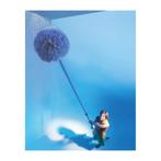 Benson Telescoop ragebol - Verstelbare steel - 95-175 cm..., Huis en Inrichting, Schoonmaakartikelen, Ophalen of Verzenden