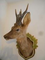 Jachttrofee, Antiek en Kunst