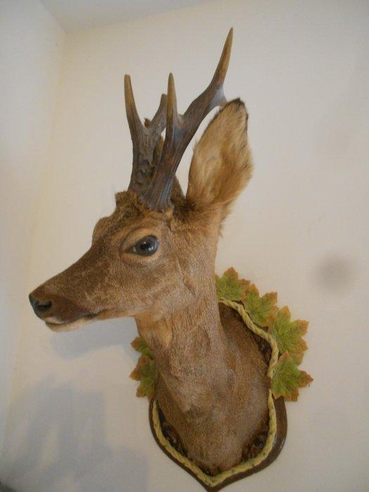 Jachttrofee, Antiek en Kunst, Curiosa en Brocante