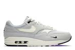 Nike Air Max 1 Mini Swoosh Pure Platinum • 41 42.5 44.5 46, Kleding | Heren, Schoenen, Ophalen of Verzenden, Nieuw, Nike, Sneakers of Gympen