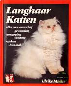 Langhaar katten 9789010048059 Muller, Boeken, Dieren en Huisdieren, Verzenden, Gelezen, Muller