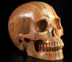 Geweldige 1.295 kg houten jaspis Schedel - Hand Carved Skull, Verzamelen, Mineralen en Fossielen