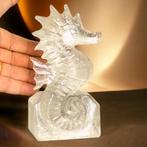 Kwarts kristal zeepaardje beeldhouwwerk - van topkwaliteit