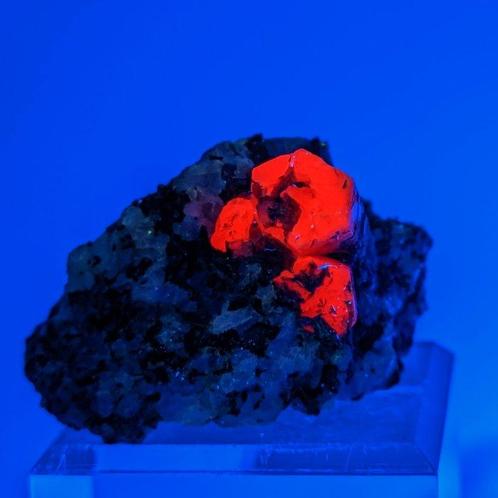ENORME ROBIJN, bloedrode UV-kristallen, op matrijs, Verzamelen, Mineralen en Fossielen
