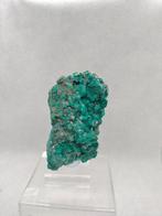 dioptase Kristalen - Hoogte: 70 mm - Breedte: 40 mm- 85 g, Verzamelen, Mineralen en Fossielen