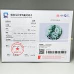Natural Jade Carving Dragon Pendant - Gecertificeerde