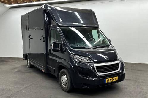 Peugeot Boxer Flex Horsetruck, Dieren en Toebehoren, Paarden en Pony's | Trailers en Aanhangwagens, Gebruikt, Verzenden