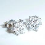 Oorbellen - 18 karaat Witgoud - 0.50ct. tw. Diamant, Nieuw