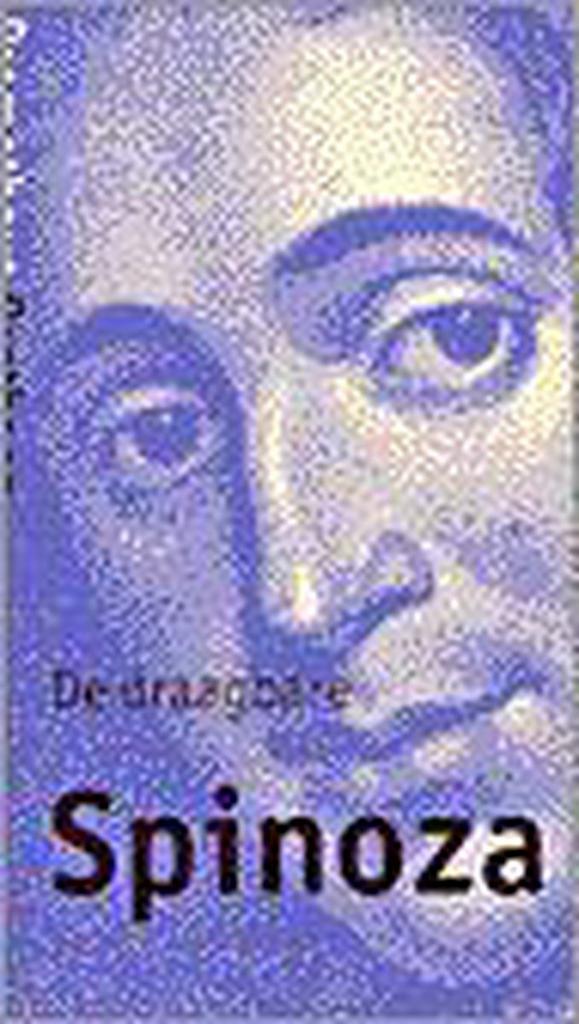 De draagbare Spinoza / Prometheus pantheon 9789053335789, Boeken, Filosofie, Gelezen, Verzenden