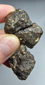 Meteoriet. LL3 type. NWA 17583, gewone chondriet. - 37.59 g, Verzamelen, Mineralen en Fossielen