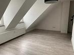 Studio Batterijstraat in Maastricht, Overige soorten, Limburg