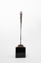 Beeld Jacques Marcel Dufrane (1947), Gebruikt