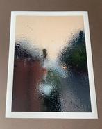Andre Lichtenberg - Window 23-10 Three Generations