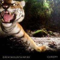 cd - Great Mountain Fire - Canopy, Cd's en Dvd's, Cd's | Overige Cd's, Zo goed als nieuw, Verzenden