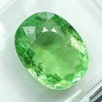 Paraiba toermalijn - 3.34 ct - International Gemological, Sieraden, Tassen en Uiterlijk, Edelstenen, Nieuw