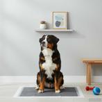 vidaXL Niet-geweven stof huisdier trainingspad 50 pcs 120 x, Dieren en Toebehoren, Verzenden, Nieuw