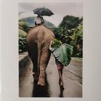 Signed - Steve Mccurry - Sri Lanka, 1995