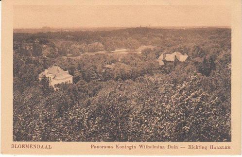BLOEMENDAAL - Panorama Koningin Wilhelmina Duin, Verzamelen, Ansichtkaarten | Nederland, Verzenden