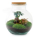 DIY terrarium - Teddy bonsai -  26,5 cm - Rake + Shovel + T, Verzenden