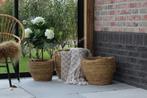 Namaak Hortensia op stam wit 70 cm, Huis en Inrichting, Woonaccessoires | Kunstplanten en Kunstbloemen, Ophalen of Verzenden, Nieuw