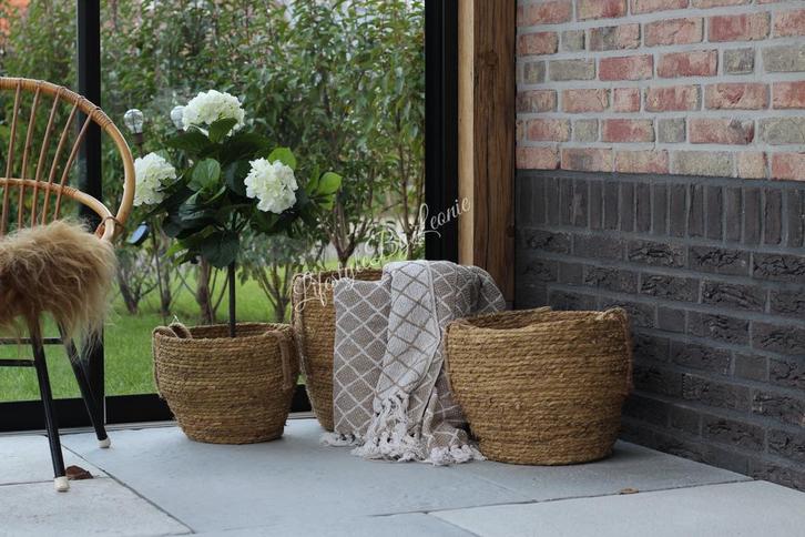 Namaak Hortensia op stam wit 70 cm, Huis en Inrichting, Woonaccessoires | Kunstplanten en Kunstbloemen, Nieuw, Ophalen of Verzenden