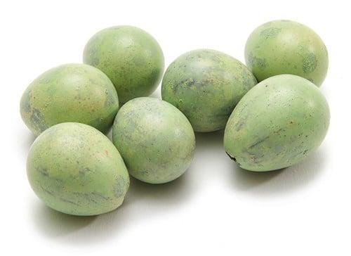 Kwarteleitjes matcha groen doos 60 stuks uitgeblazen voor, Huis en Inrichting, Woonaccessoires | Kunstplanten en Kunstbloemen