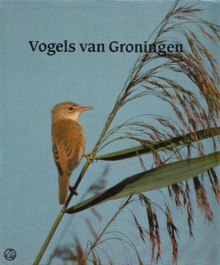 Vogels van Groningen 9789062430314 Boekema, Boeken, Overige Boeken, Gelezen, Verzenden