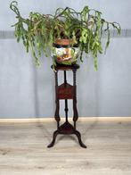 Schitterende piëdestal plantentafel - Plantentafel - Hout, Antiek en Kunst, Curiosa en Brocante